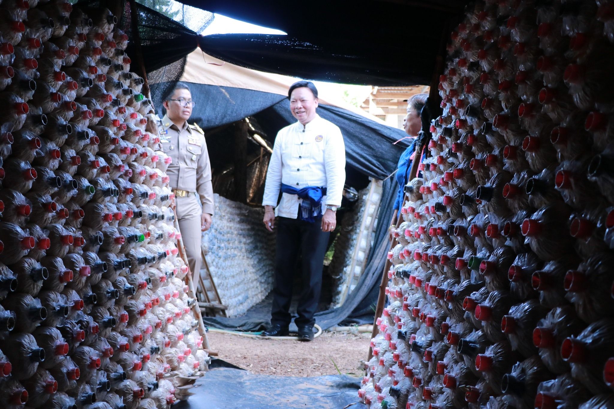 นายอำเภอแหวนเพชร